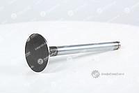3142H071 Впускной клапан Perkins, Перкинс